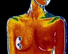 Breast cancer cells can SUPPRESS tumour growth 'by releasing protective proteins'