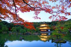 Consider Fundamentals Before Bailing on Japan ETFs