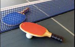 Manika Batra wins silver medal in Polish Junior & Cadet Open tournament