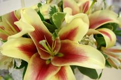 Berlin Obituaries: Paprzyca, Noonan