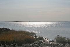 Reflections on Long Island Sound Day