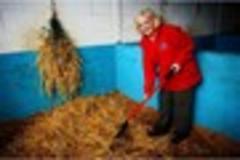 a lotto help for donkey sanctuary