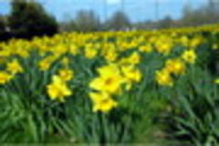 Sussex weather: Bank Holiday weekend