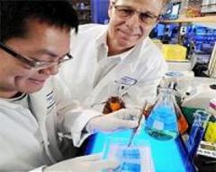 rna capable of catalyzing electron transfer on early earth with iron's help