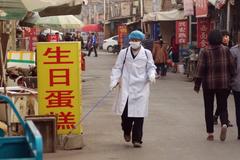 H7N9 Bird Flu Spreads by Direct Contact in Mammals